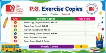 Buy The Smart School Playgroup Exercise Copies Online