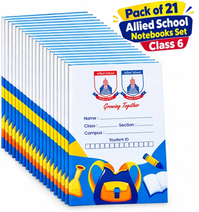 Notebooks Set (Pack of 21) | Class 6 | Allied School