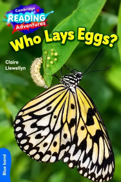 Who Lays Eggs? (Cambridge Reading Adventures, Blue Band) | Nursery | LGS